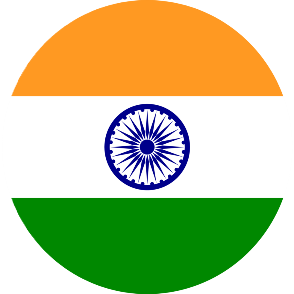 Delhi flag