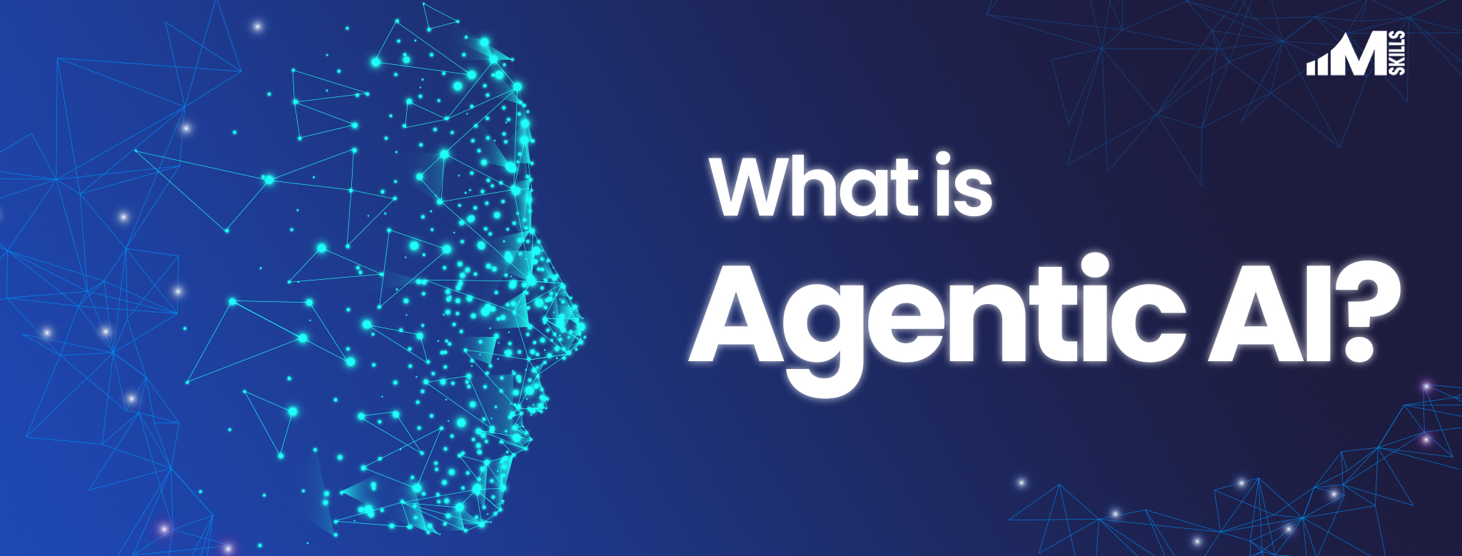 What is Agentic AI? 