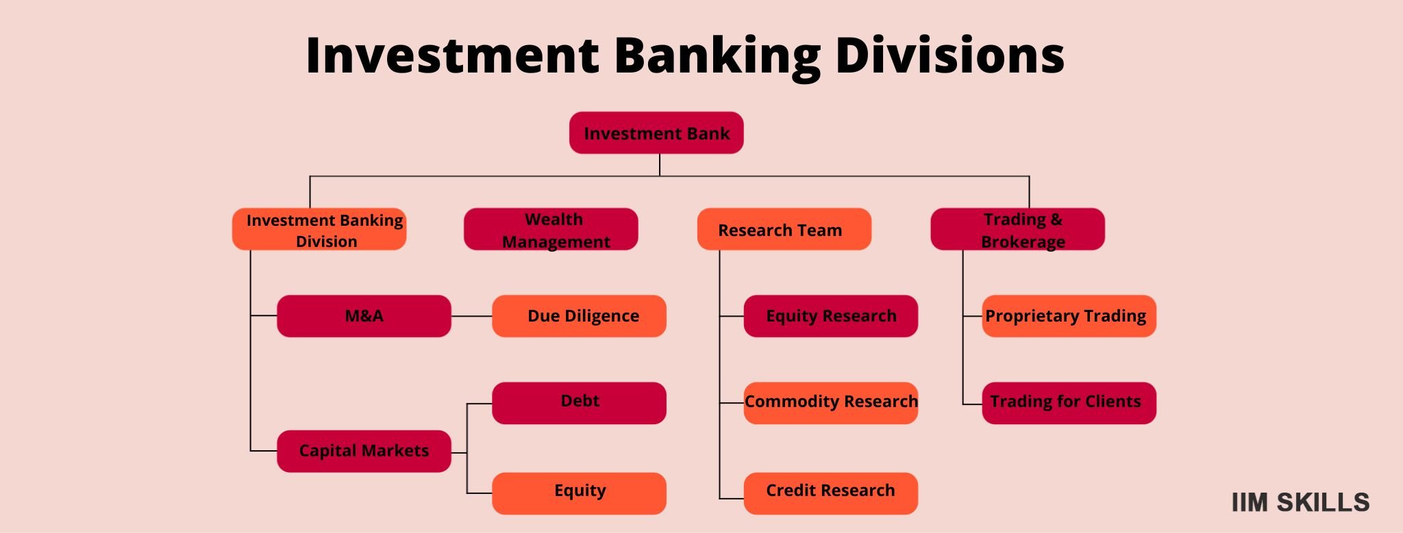 Investment Banking Structure