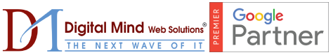 Digital Mind Web Solutions Logo