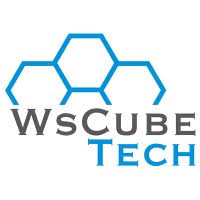 WS Cubetech logo