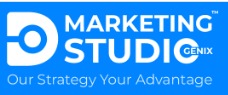 Digital Marketing Studio Logo