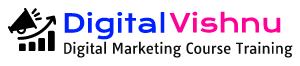 Digital Vishnu Logo
