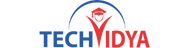 Techvidya Logo