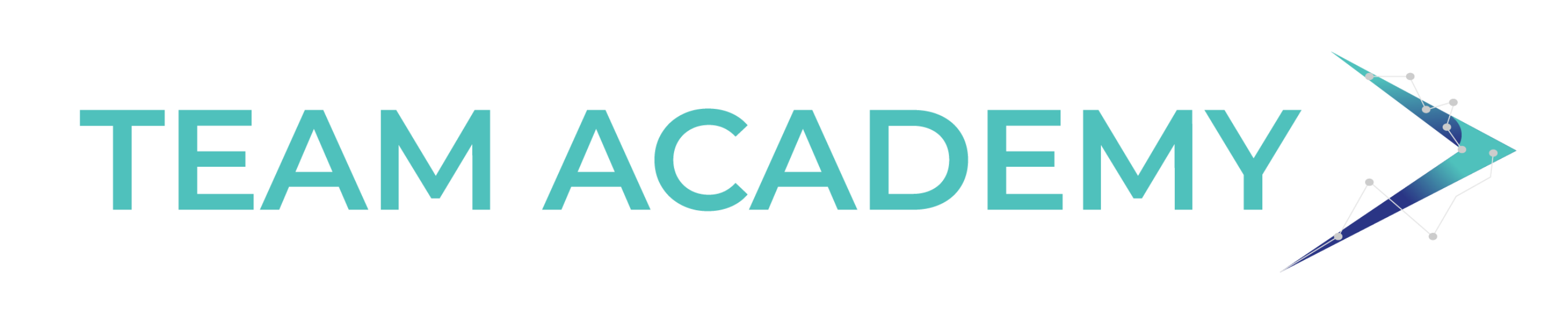 TeamAcademy Logo