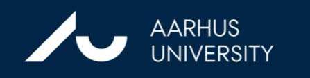 Aarhus University Logo