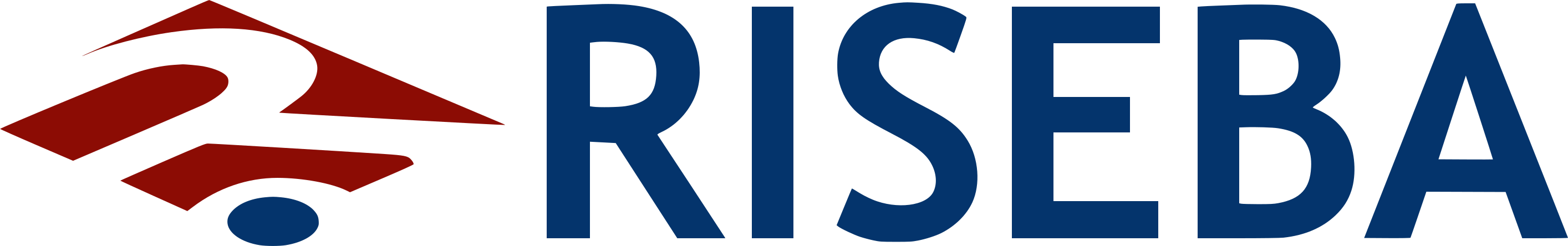 Riseba logo