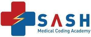 Sash Academy logo