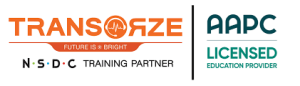 Transorze- Logo