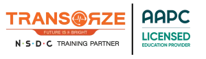 Transorze logo
