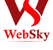 WebSky Institute Logo