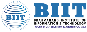 BIIT Technology Logo