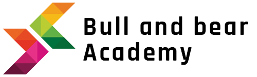 Bull and Bear Digital Academy Logo