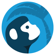 Wall Street Oasis (WSO) logo